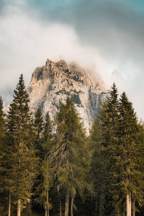 ağaçlar, bulutlar, dağ içeren Ücretsiz stok fotoğraf