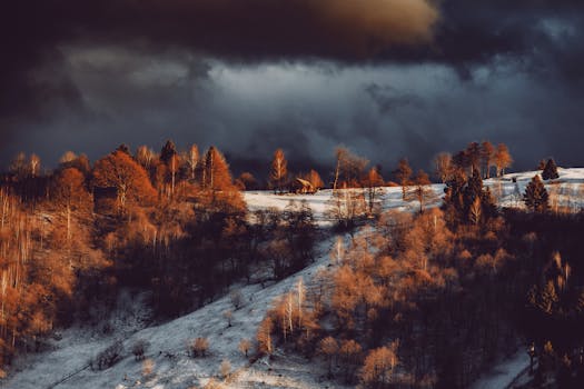 Stunning winter landscape with snow-capped trees under dramatic stormy clouds.