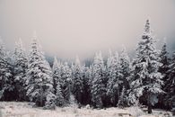 Cold-shouldering Images
