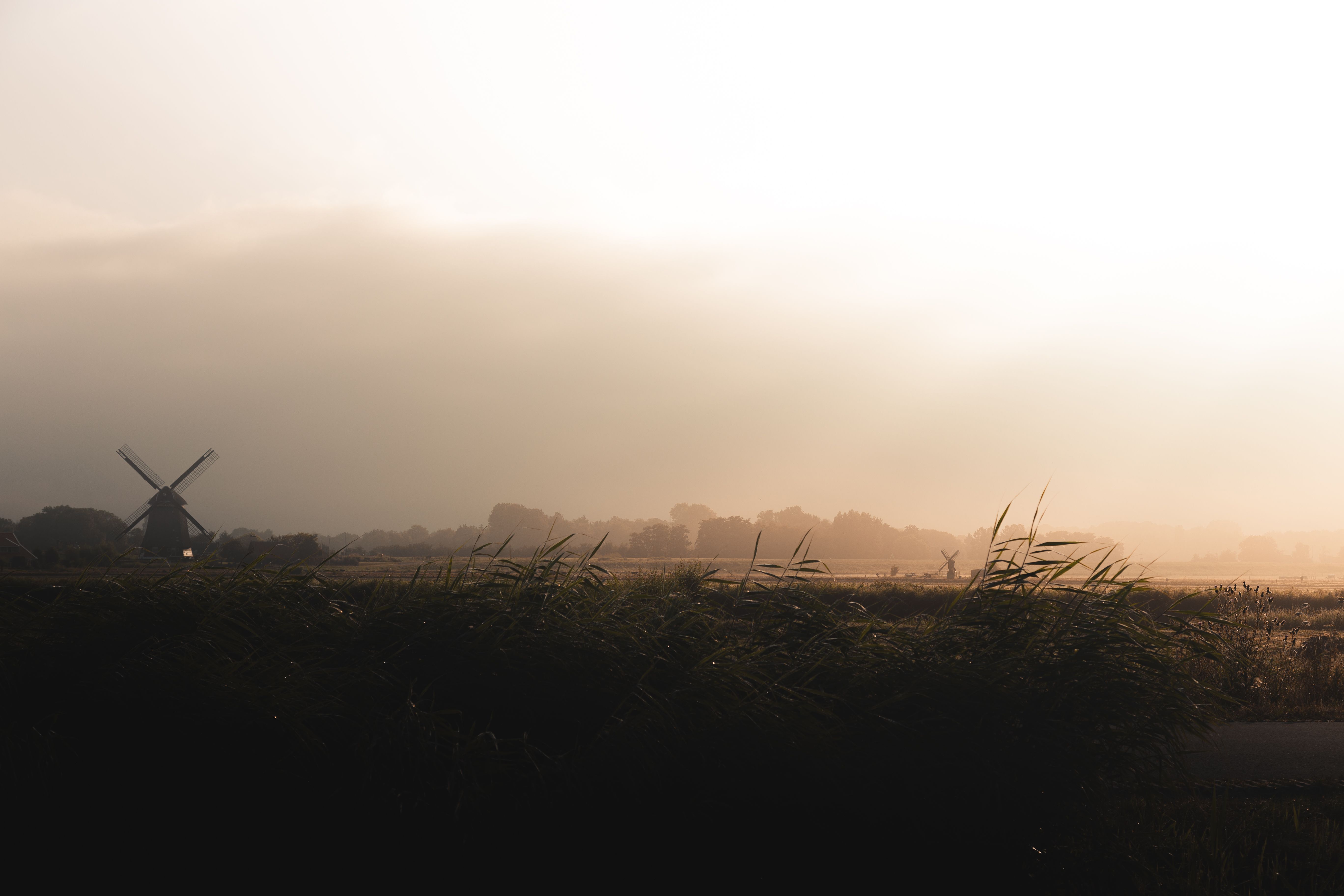 Nederlands landschap met weidse velden en luchten