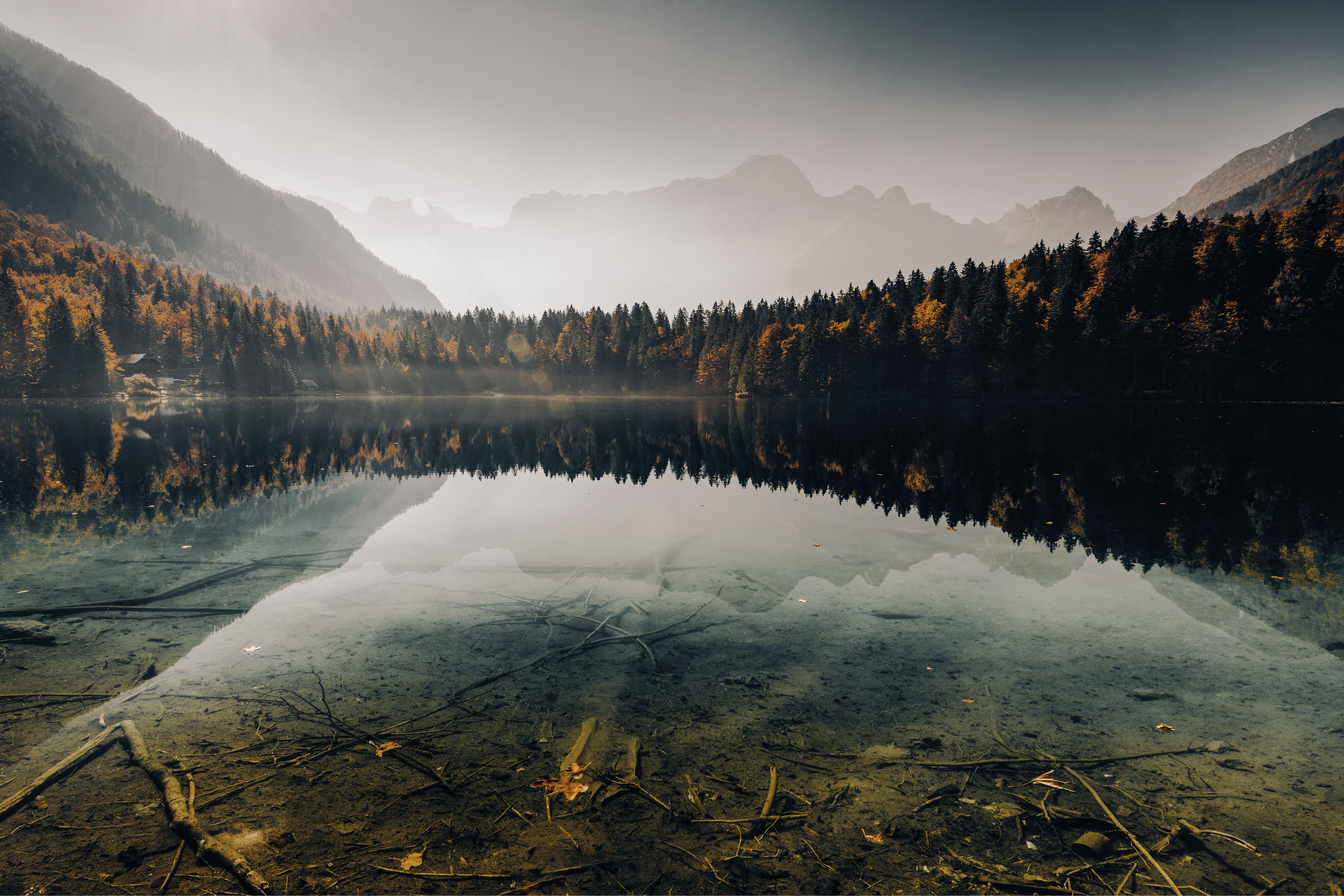Forest Reflecting in Lake in Autumn · Free Stock Photo
