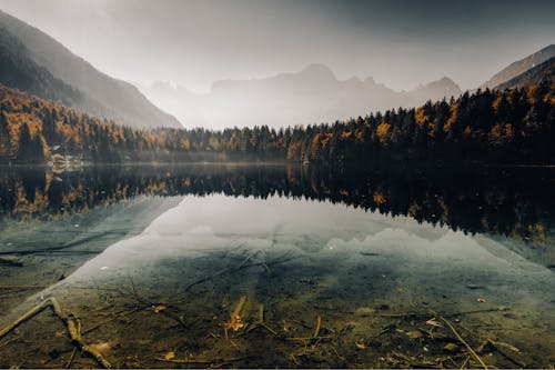 Forest Reflecting in Lake in Autumn