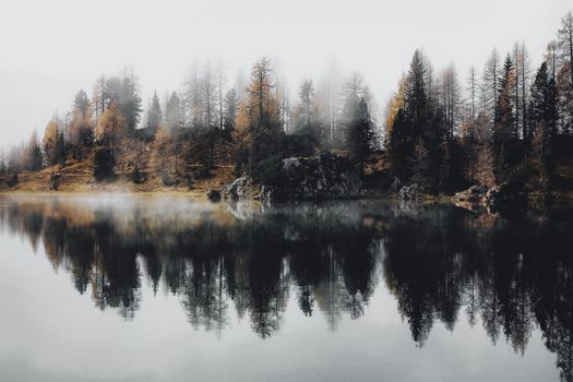 Misty forest reflection on a tranquil lake, creating a serene and foggy landscape.