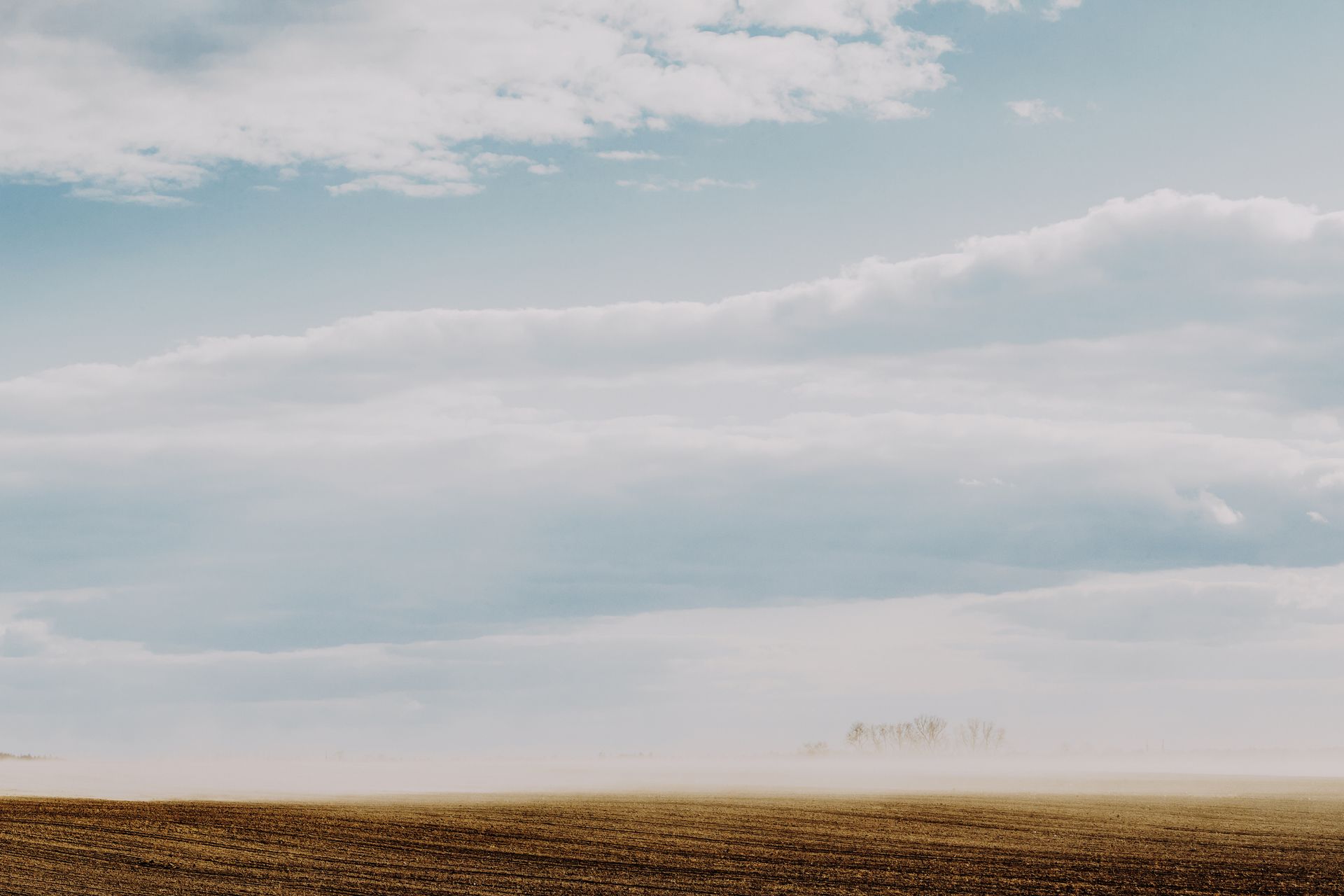Serene fog over a rural field in Belarus at dawn, capturing tranquility and natural beauty.