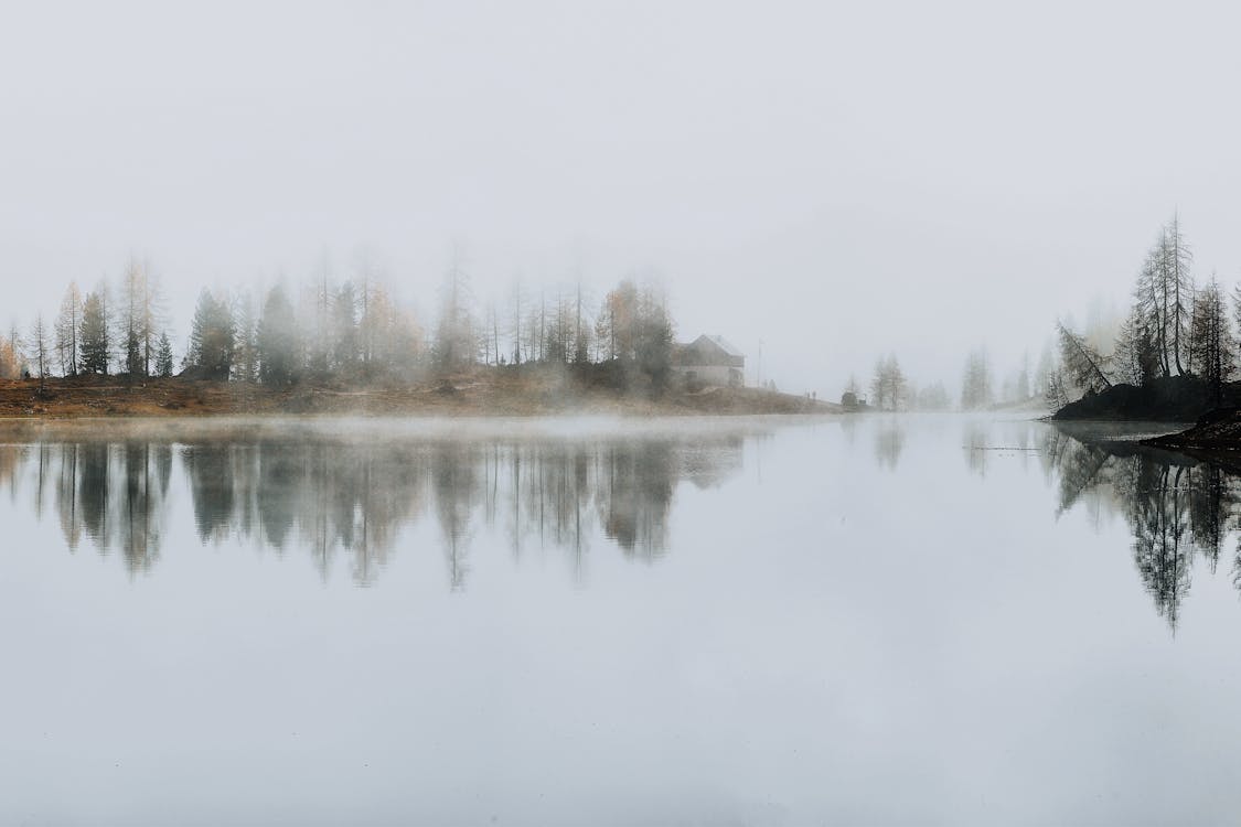 Body of Water Near Trees on a Foggy Day