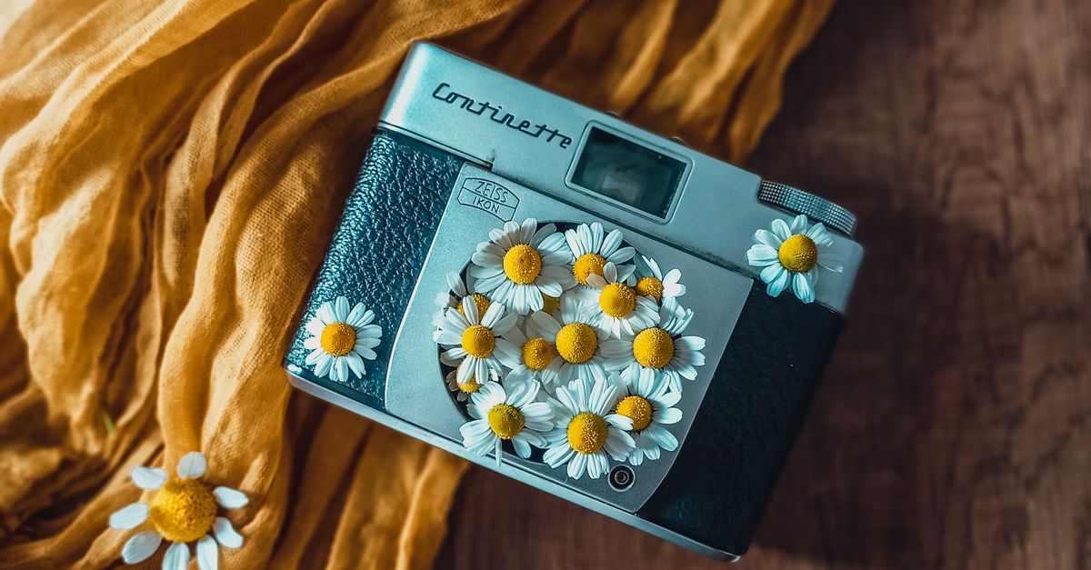 Photograph of Daisy Flowers on a Camera · Free Stock Photo