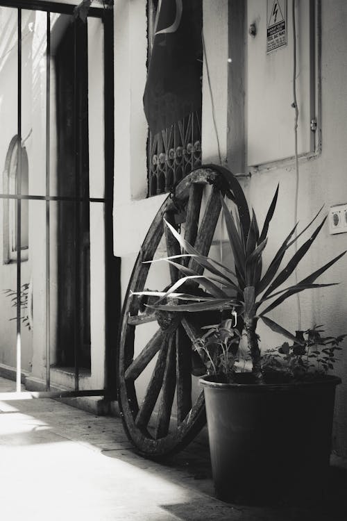 Photo of a House Facade with an Old Wooden Wheel and a Potted Plant