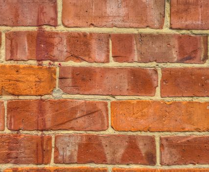 Detailed close-up of a red brick wall showcasing texture and color.