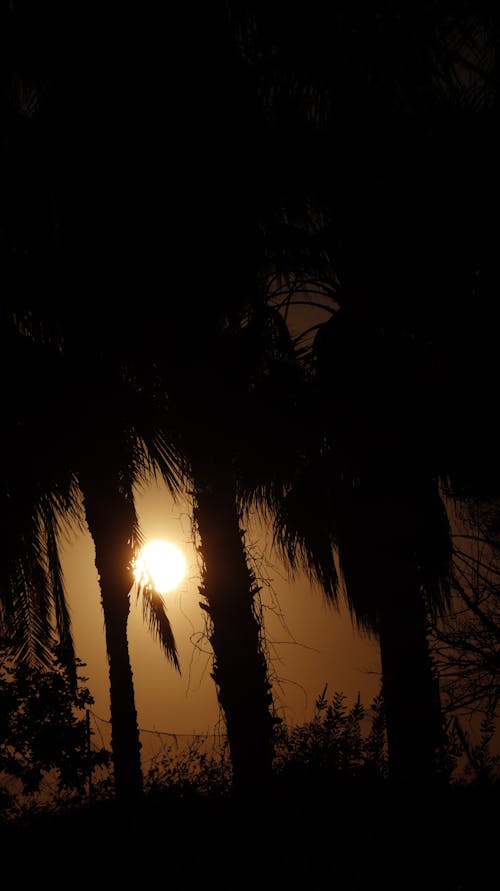 Foto profissional grátis de alanya sol, pôr do sol