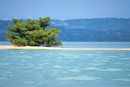 бесплатная Бесплатное стоковое фото с Бали, Беноа, голубая вода Стоковое фото