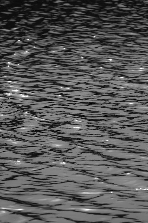 Close-up of the Water in a Lake
