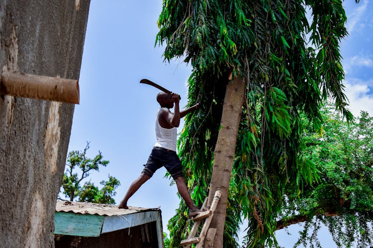 Man Standing On House Roof Cutting Tree