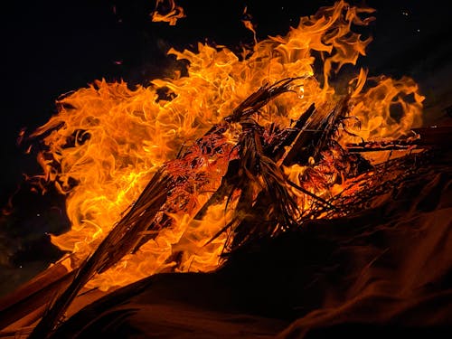 Close-up Photo of Blazing Fire 