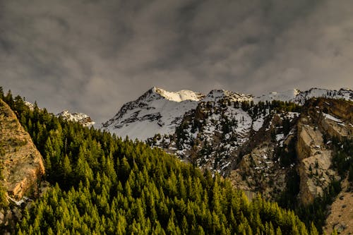 Коричневая скалистая гора, покрытая снегом возле зеленых деревьев под пасмурным небом