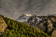 犹他州自然景观中，白雪皑皑的山脉与郁郁葱葱的松林构成了一幅美丽的风景