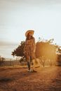 Free stock photo of debutante, ensaio 15 anos, ensaio feminino