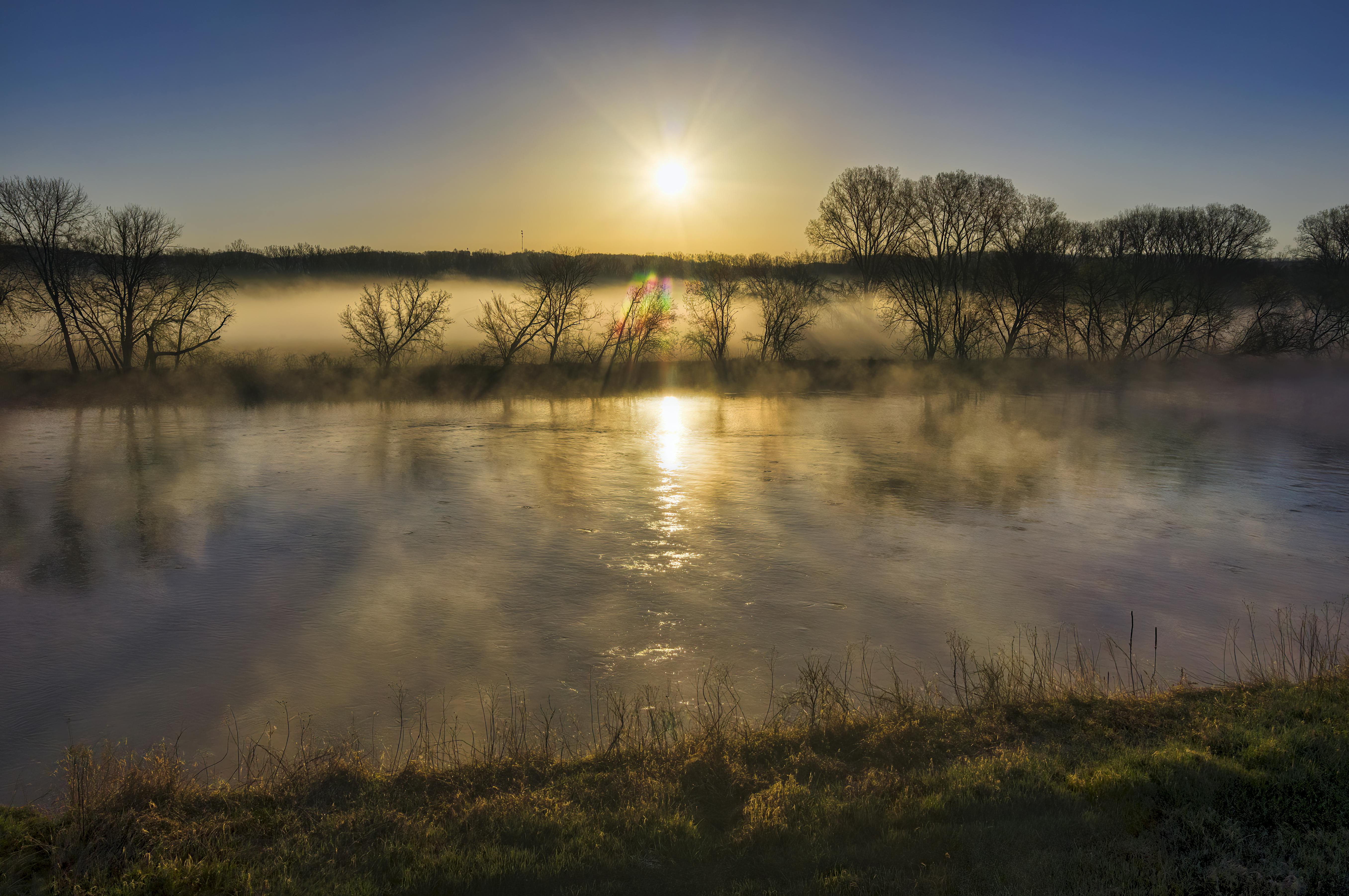 foggy lake with bare trees during sunset