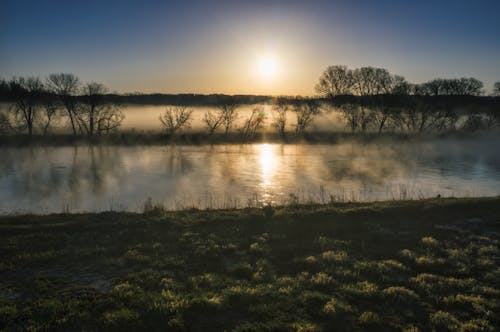 Silhouette of Leafless Trees Near the River