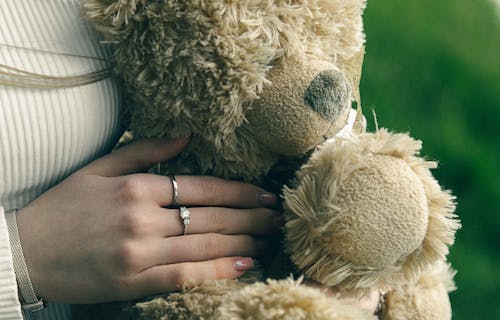 Person Holding Brown Bear Plush Toy