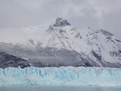Magnificence Images