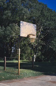 Vintage basketball hoop on a lush green court in Clunes, NSW, Australia.