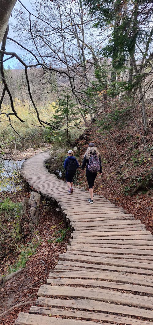 Free stock photo of adventure, adventurers, boardwalk