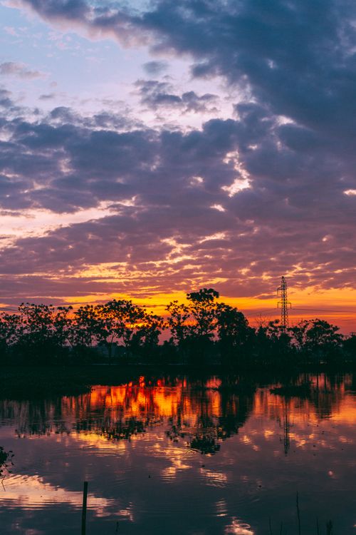 Free A breathtaking sunset with silhouetted trees reflecting on water, creating a serene scene. Stock Photo