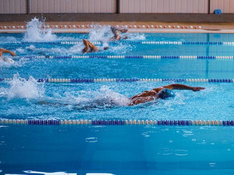 Swimmers in action during a race in an indoor swimming pool, showcasing athleticism.