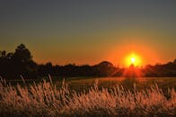 宁静的乡村田野笼罩在金色的日落中，凸显了大自然的美丽