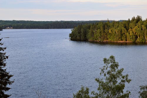 Foto profissional grátis de água, árvores, beira do lago