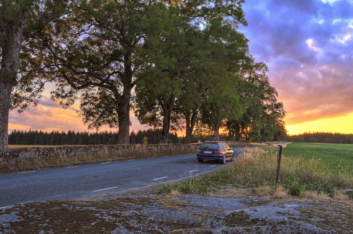 Безкоштовне стокове фото на тему «автомобіль, дерева, дорога»