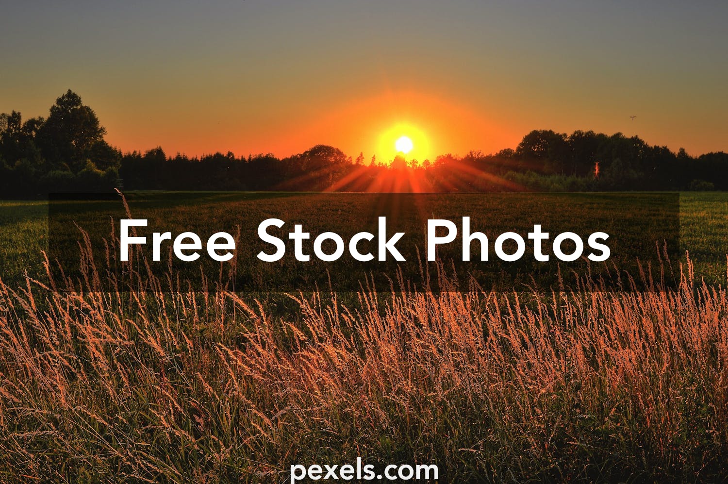 10 000 Best Beautiful Sunrise Photos 100 Free Download Pexels Stock Photos