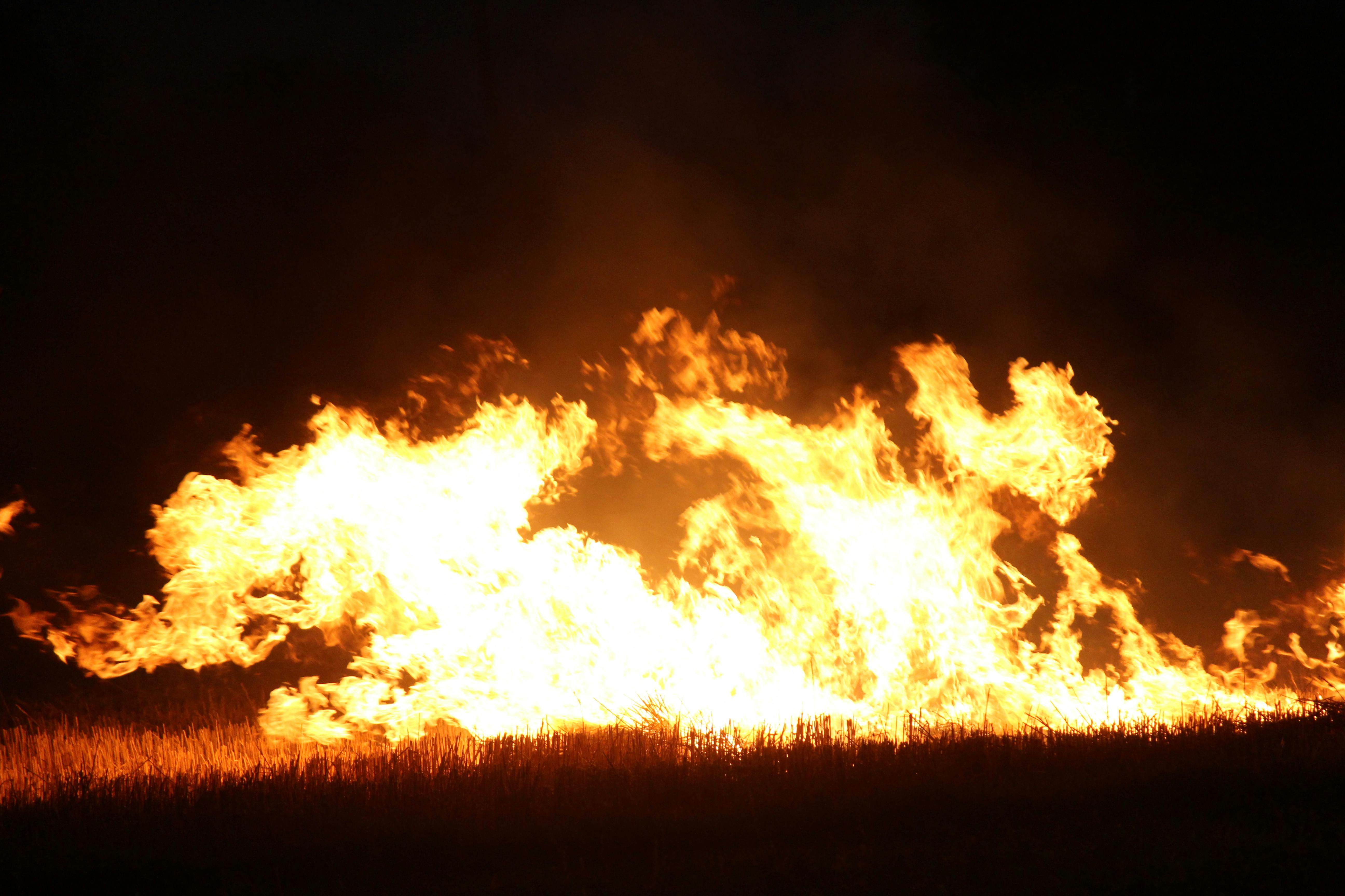 Free stock photo of field, fire, night