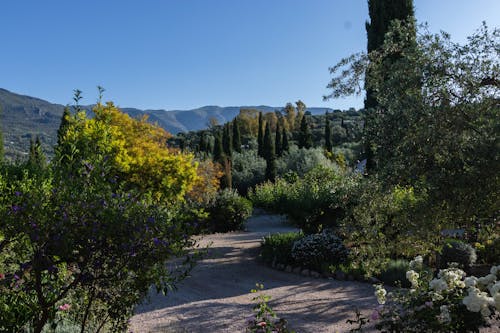 Garden in Spain