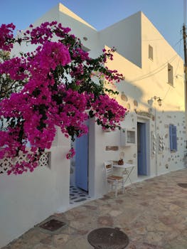 Charming Greek street scene with vibrant bougainvillea against a white building.