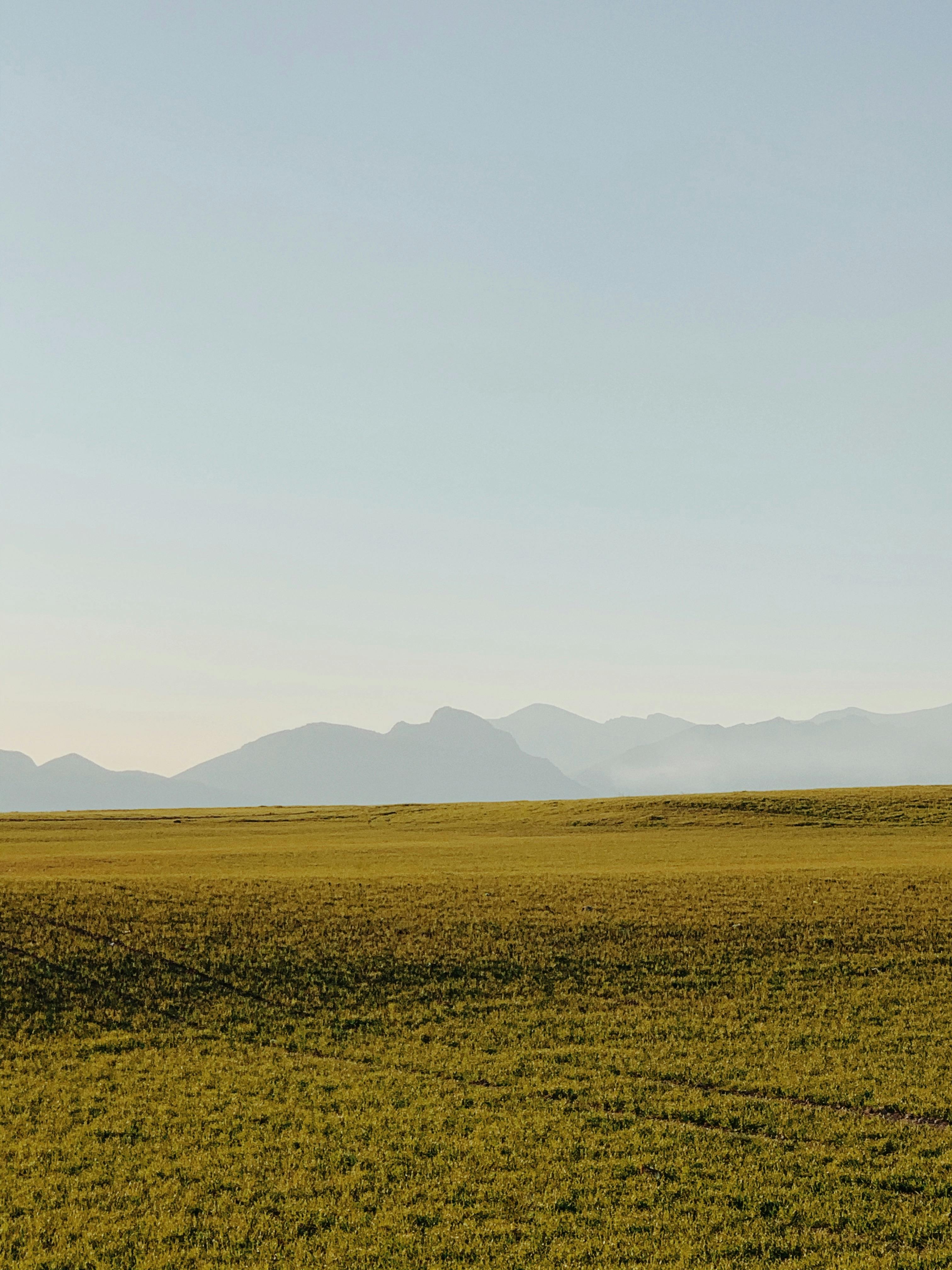 Kostnadsfria Kostnadsfri bild av äng, Asien, bergen Stock foto