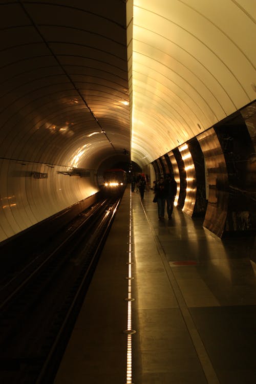 Train Arriving at a Station