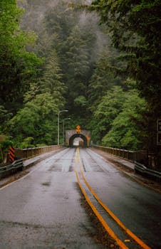 A serene misty road with a tunnel in a lush Oregon forest, perfect for nature travel inspiration.