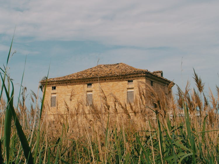 Nipa House Standing In A Grass Field