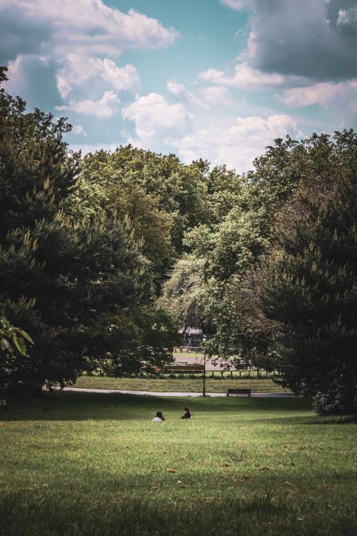 Free Tranquil park scene featuring lush green trees and a clear sky, ideal for relaxation and nature lovers. Stock Photo