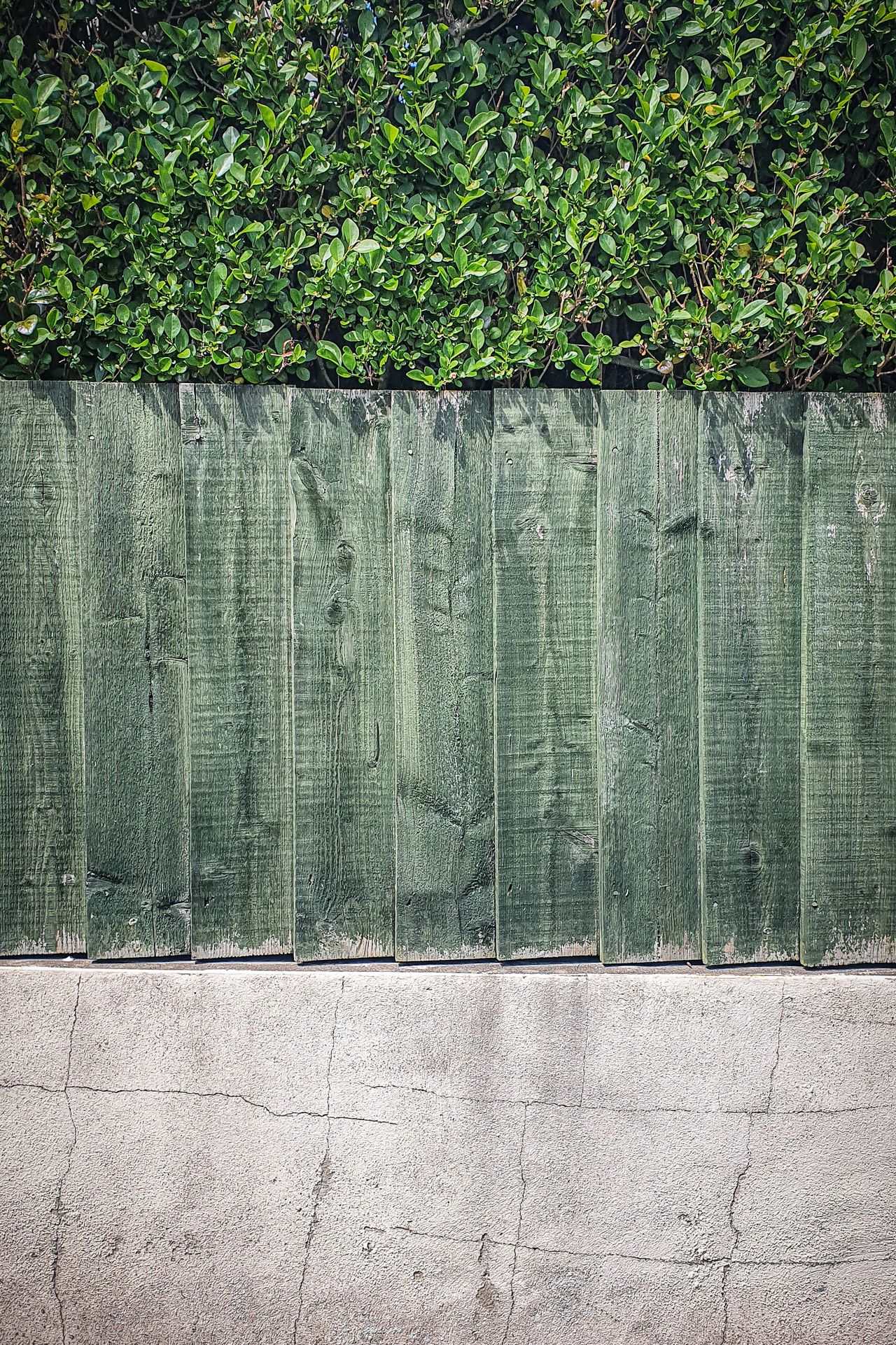 Fence installation 5
