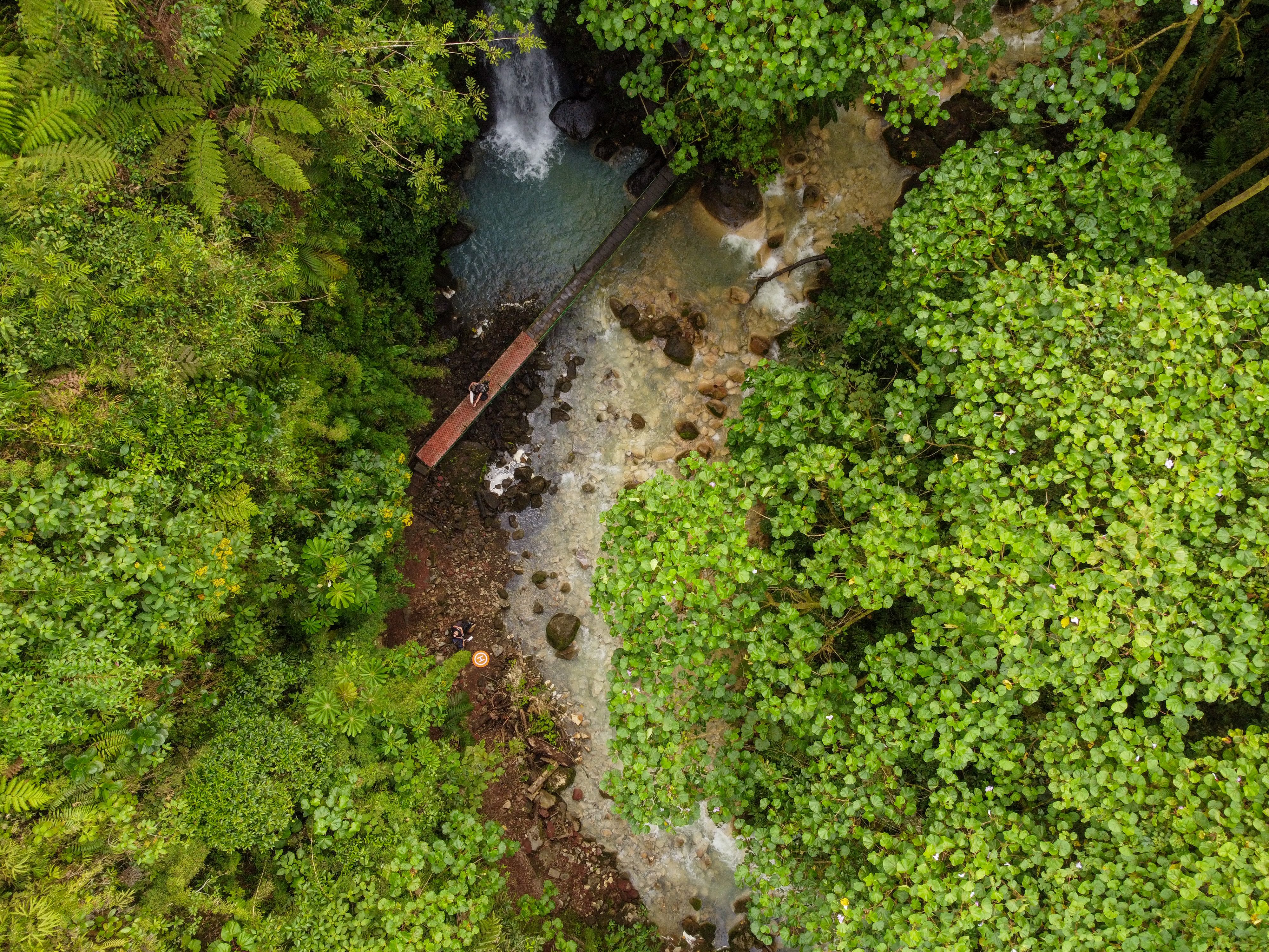 Hanging bridge over Costa Rica's rainforest canopy
