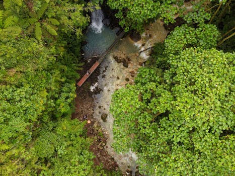 Aerial shot of a vivid green forest with a wooden bridge over a stream in Costa Rica.