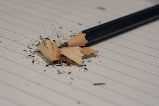 Pencil Shavings