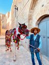 Man in Blue Denim Jacket and Brown Cowboy Hat Riding Brown Horse
