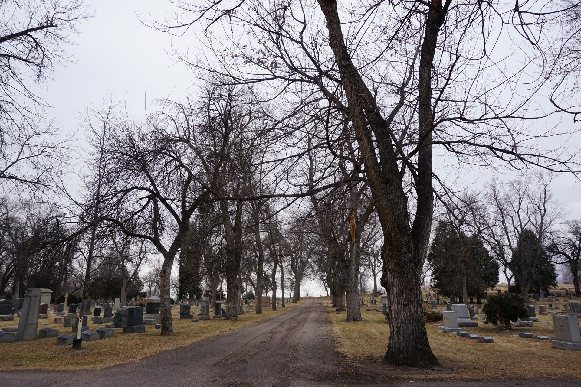 Un cementerio silencioso bajo un cielo gris y nublado