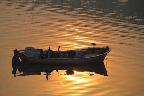 Základová fotografie zdarma na téma jezero, odraz vody, rybářský člun