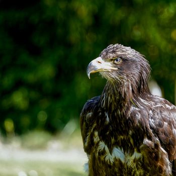 La vérité vaut bien qu’on passe quelques années sans la trouver