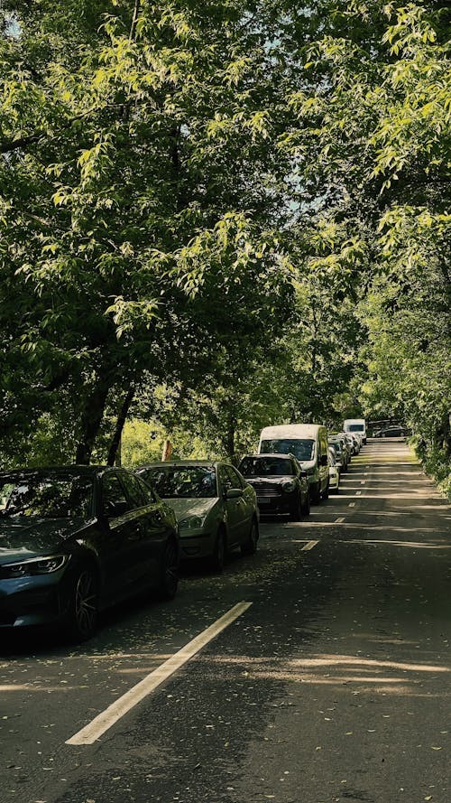Cars Parked on the Side of the Road Near the Green Trees