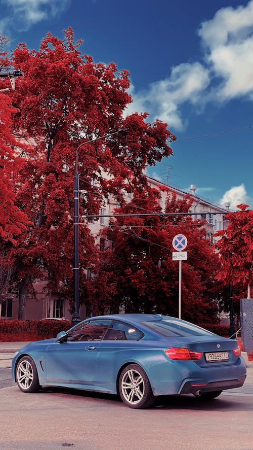 A Blue Car Parked Near Trees